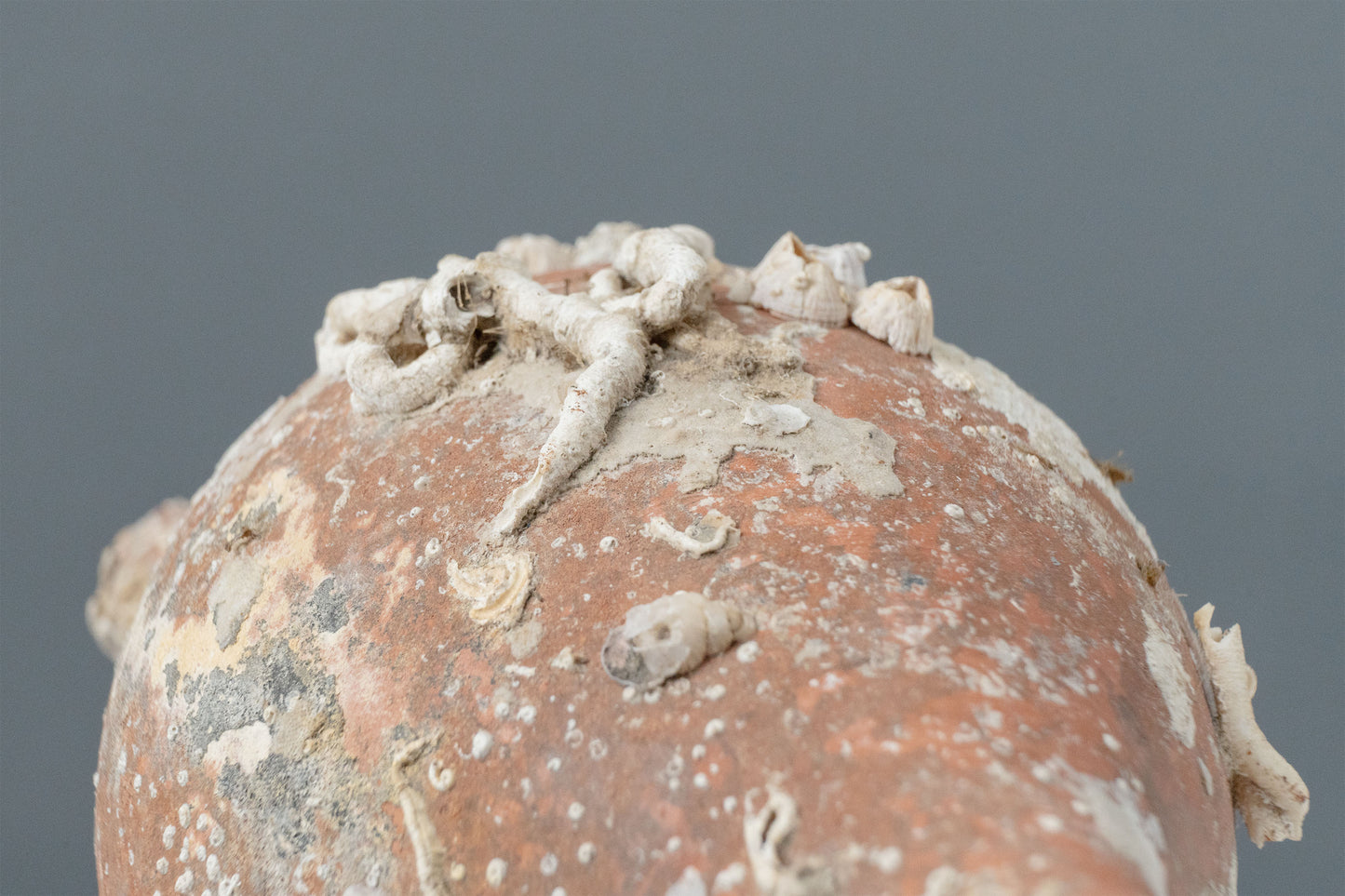 'Pisa' Sea Amphora