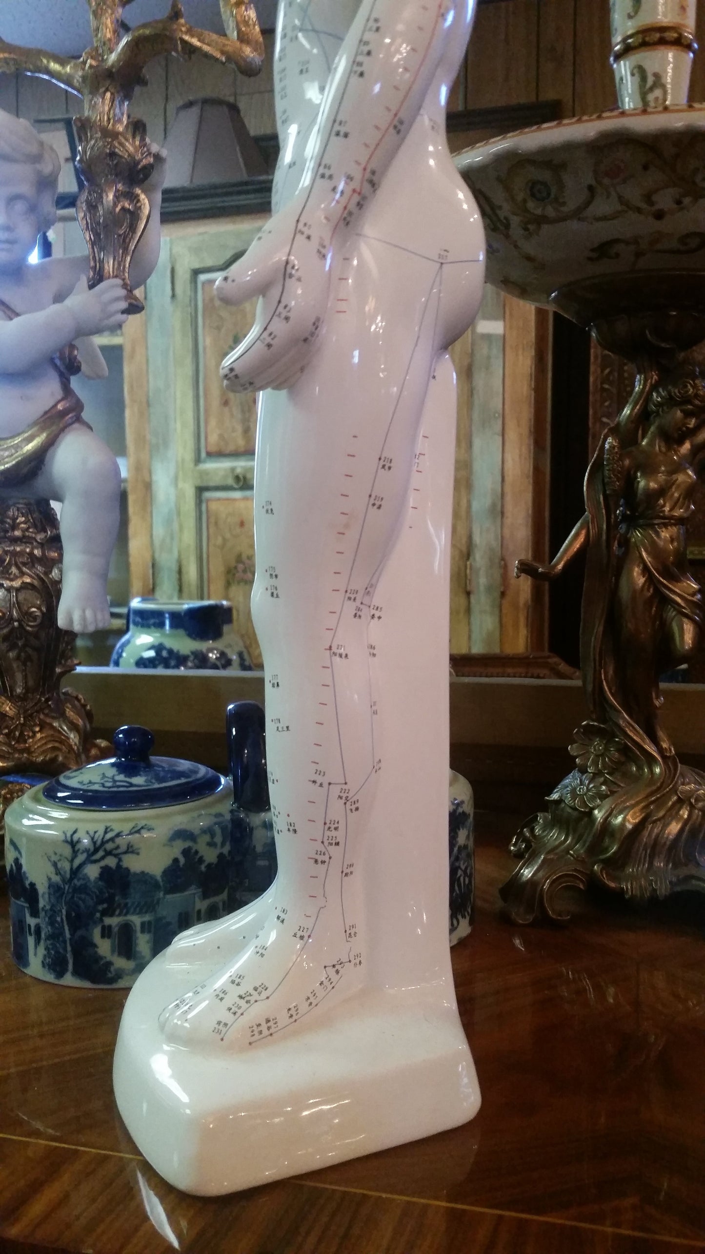 ANATOMY Acupuncture Human Structure