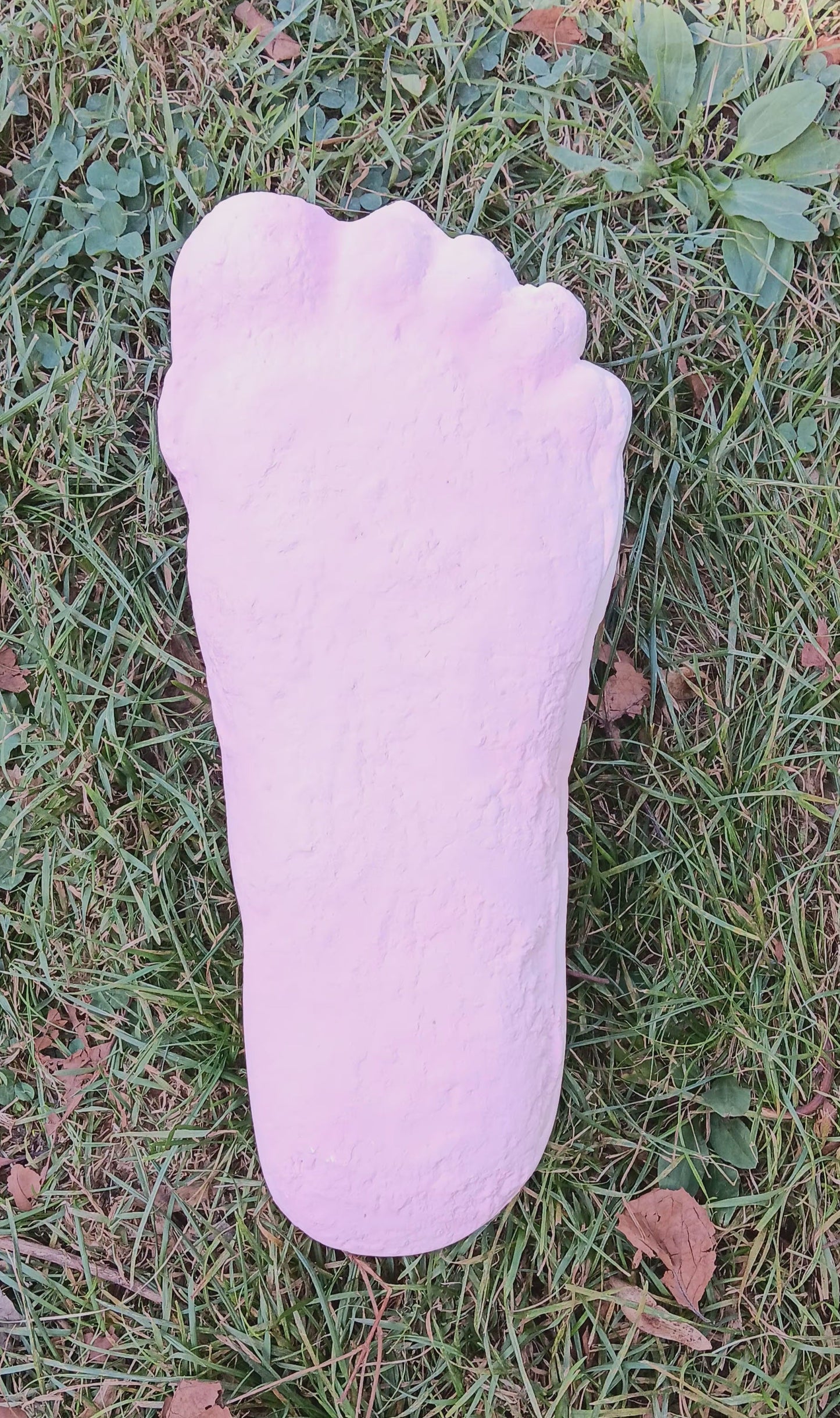 1967 PINK Bigfoot Patterson Patty track footprint cast