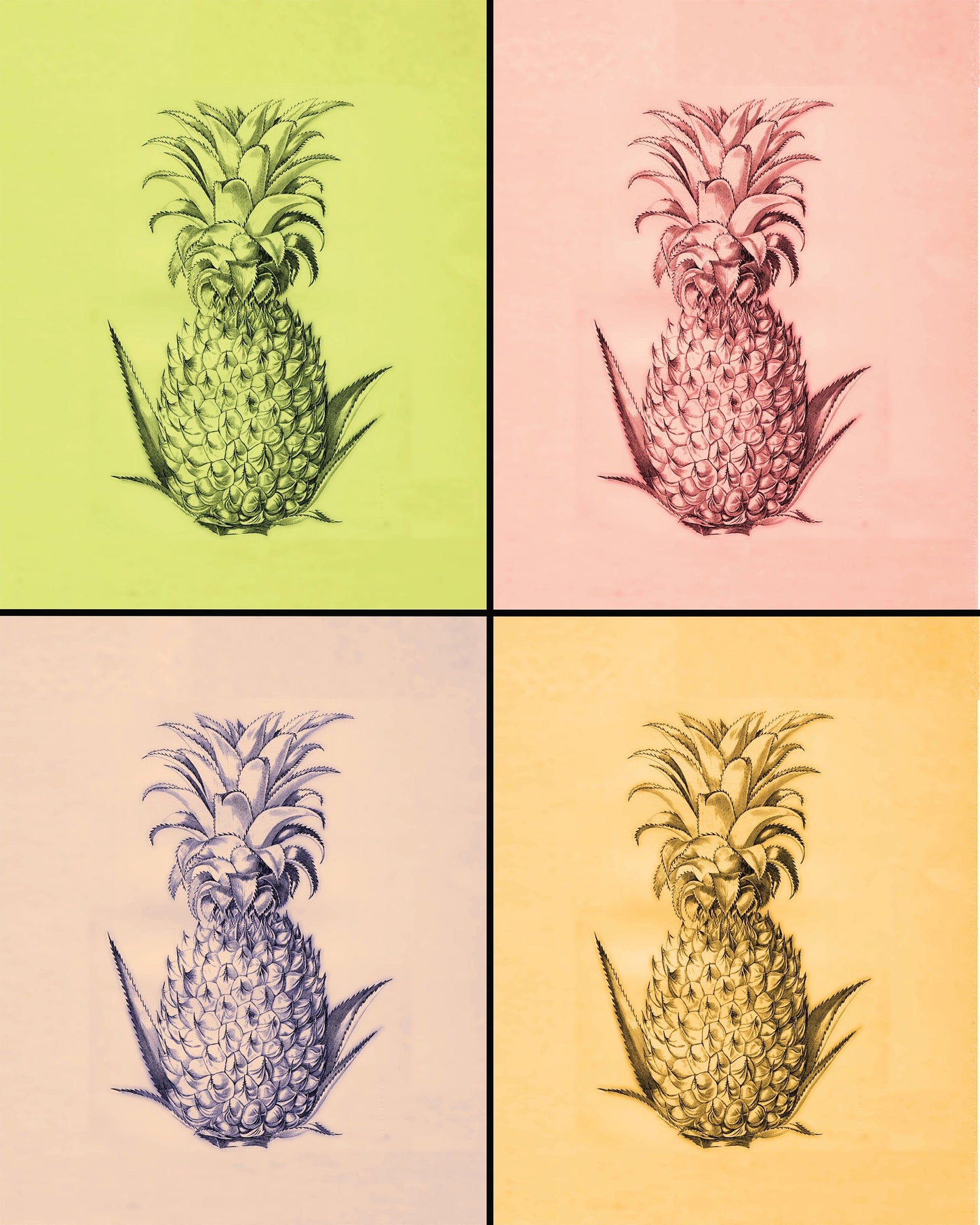 Pineapple Pop Art Print