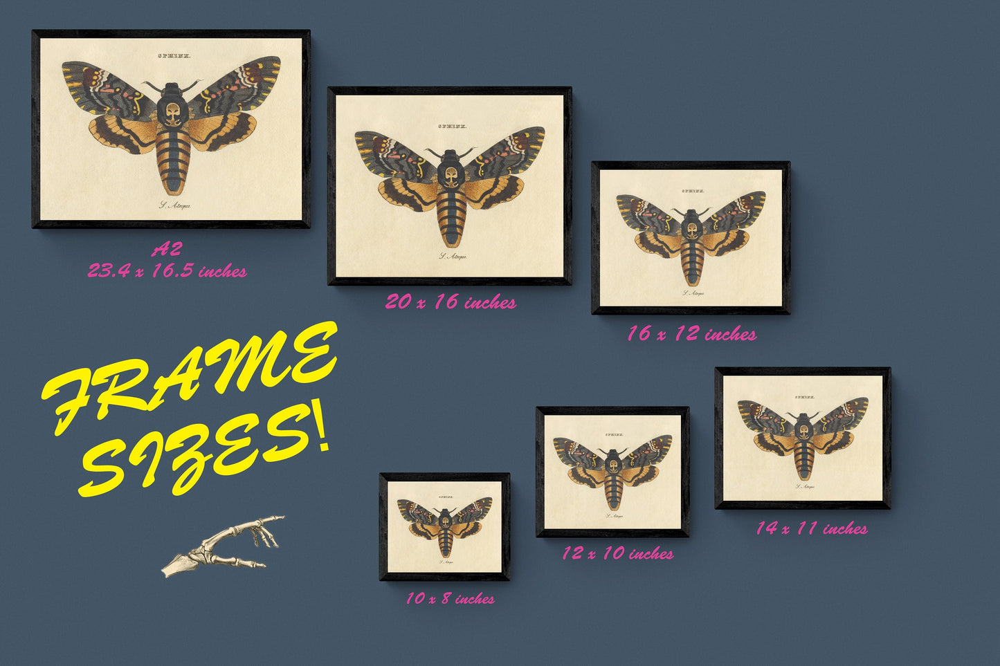 Phosphorescent Animals Print