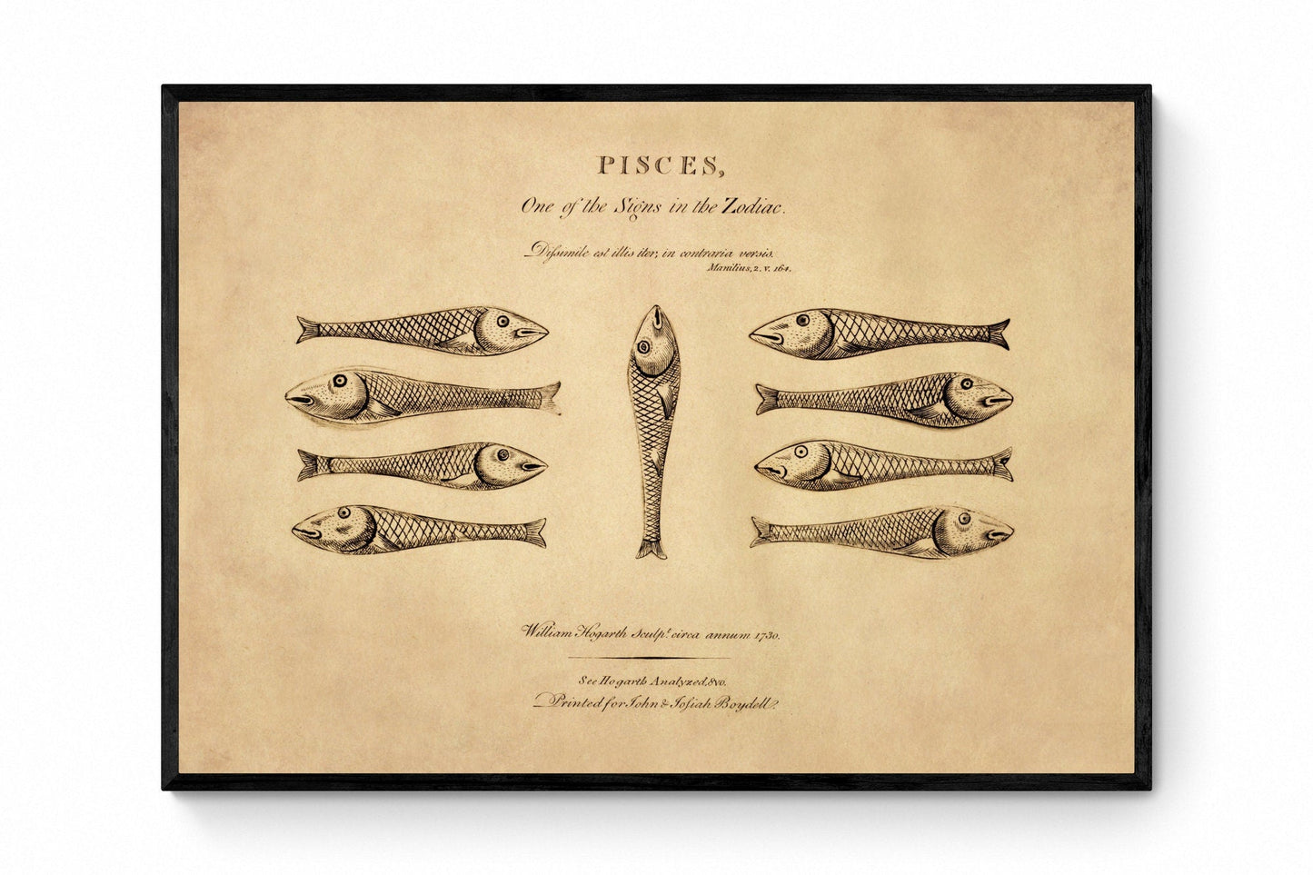 Pisces