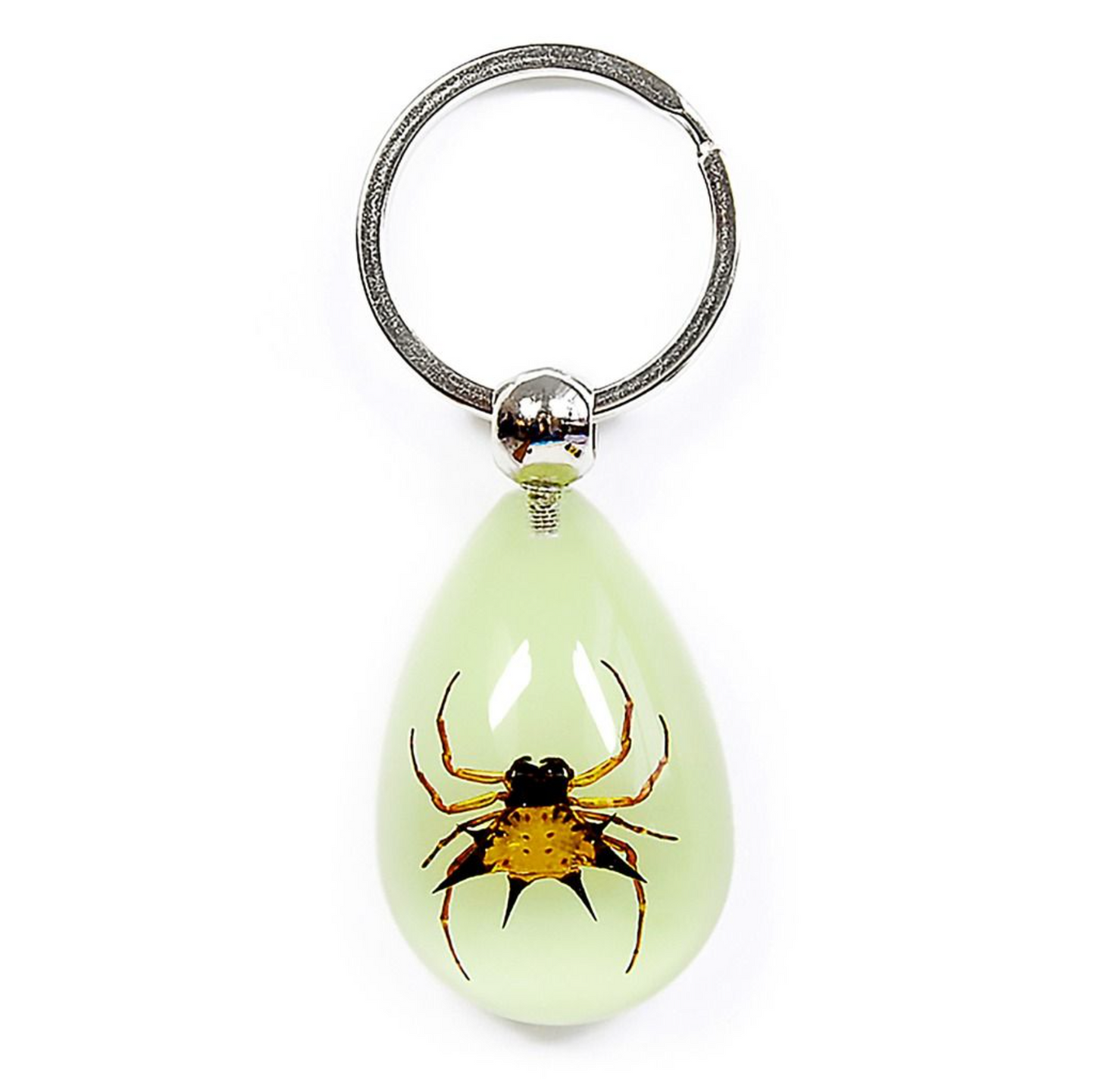 Real Acrylic Spiny Spider Keychain