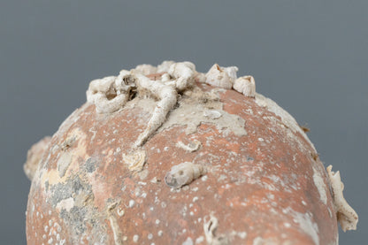 'Pisa' Sea Amphora