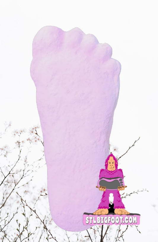 1967 PINK Bigfoot Patterson Patty track footprint cast