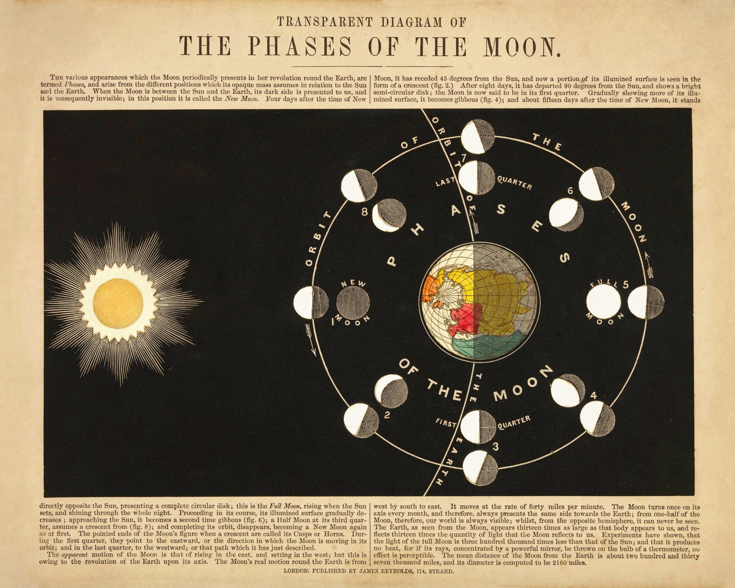 Phases of the Moon Print 1846