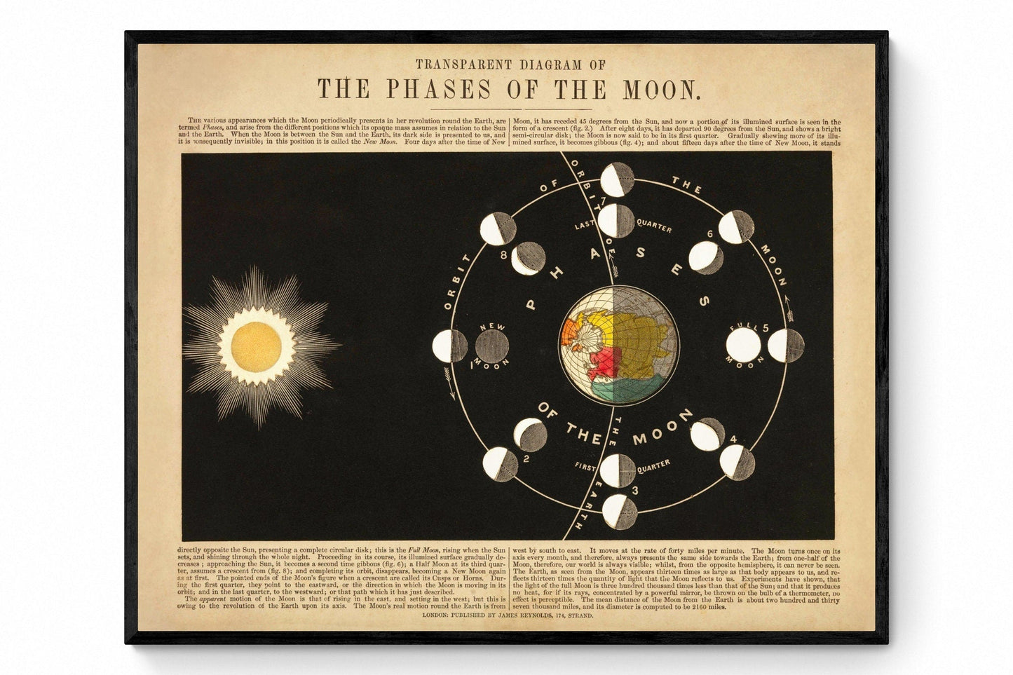 Phases of the Moon Print 1846