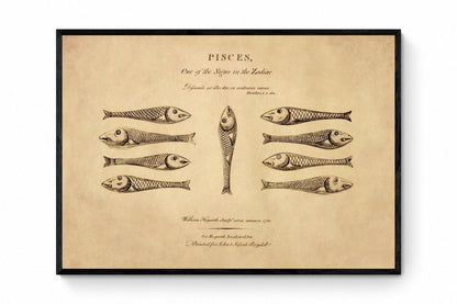 Pisces