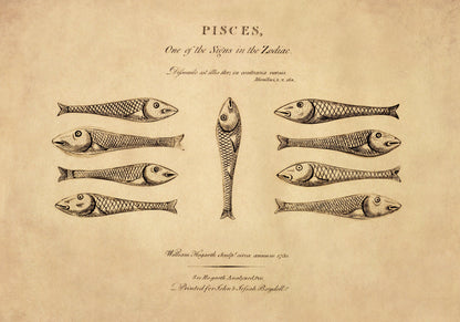 Pisces
